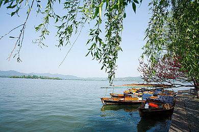 生存建造游戏《无径之林》上线联机体验版，试玩还能拿福利？